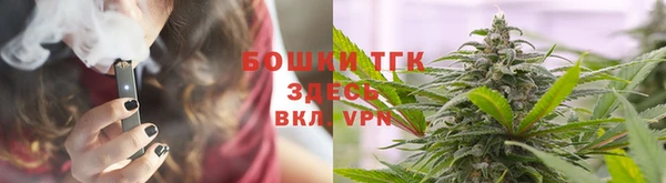 дмт Лабытнанги