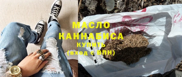 дмт Лабытнанги