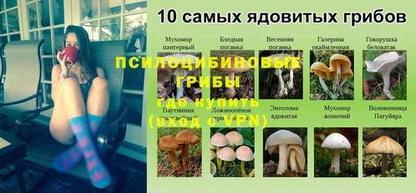дмт Лабытнанги