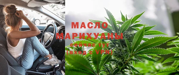дмт Лабытнанги