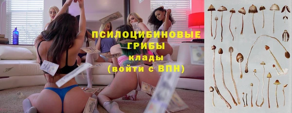 дмт Лабытнанги