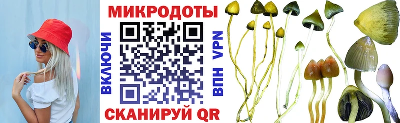 Галлюциногенные грибы GOLDEN TEACHER  Купить  Учалы 
